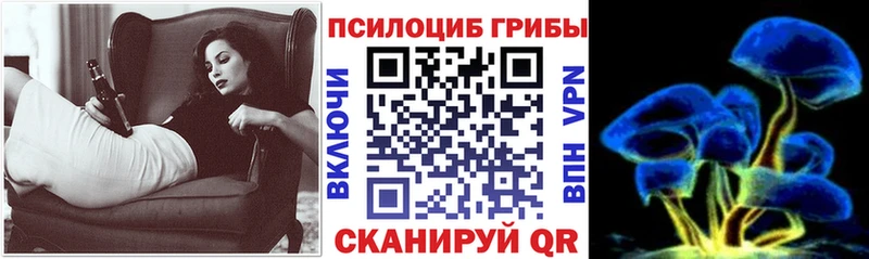 мориарти телеграм  Шенкурск  Галлюциногенные грибы GOLDEN TEACHER 